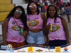 Festa do Boi Malandro